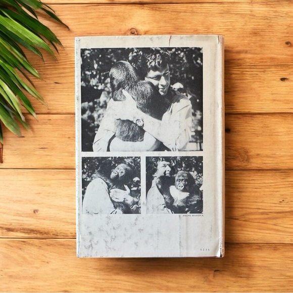 VINTAGE 1980 Congo by Michael Crichton - Book Club Edition - Picture 2 of 9